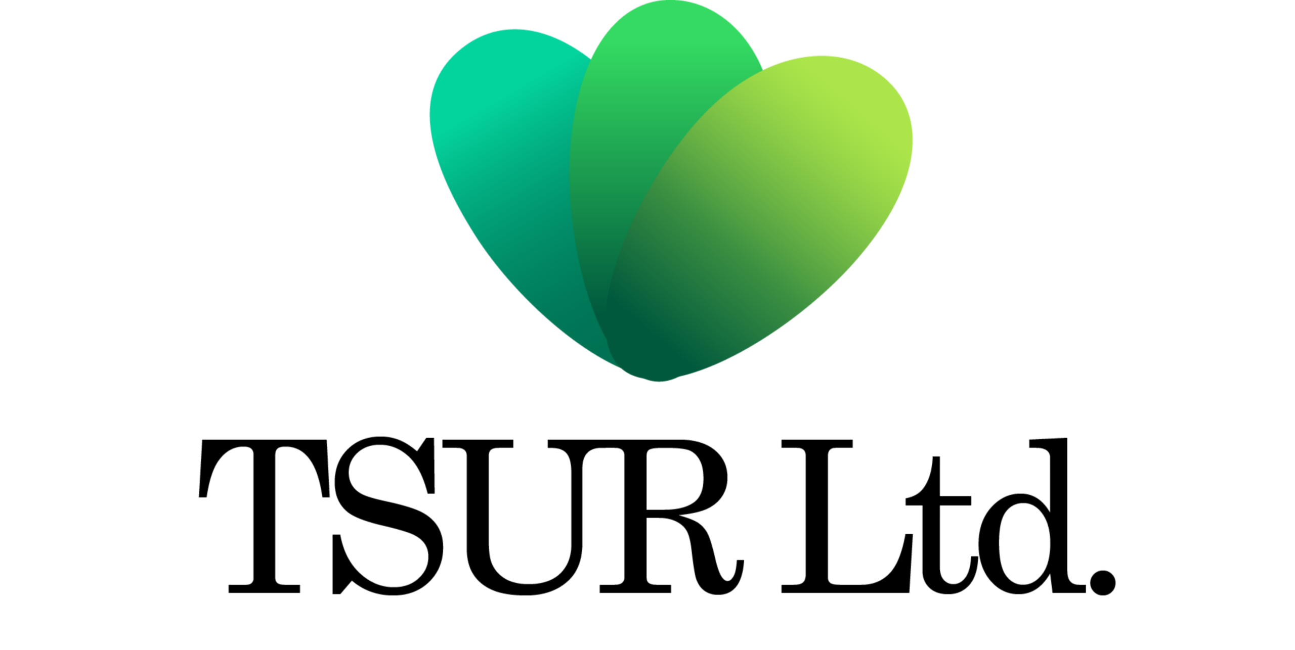 TSUR LTD.